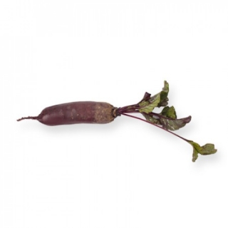 img-0: Свекла Кариллон F1 (фракция 3,5-4,25 мм) - ООО «Семена Тут»