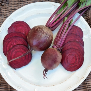 Свекла Фалькон F1 - ООО «Семена Тут»