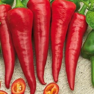 Перец острый Красный Толстяк - ООО «Семена Тут»