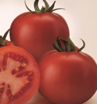 Томат Супер Сед F1 - ООО «Семена Тут»