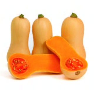 img-0: Тыква Миелуна F1 - ООО «Семена Тут»