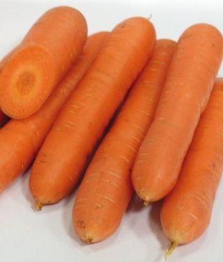 img-0: Морковь Нирвана - ООО «Семена Тут»