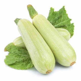 Кабачок Сангрум F1 - ООО «Семена Тут»