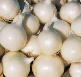 img-0: Лук репчатый Неман - ООО «Семена Тут»
