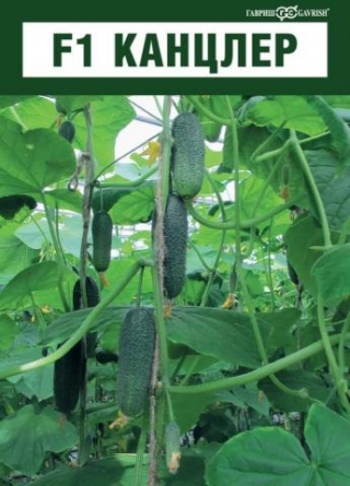 img-1: Огурец Канцлер F1 - ООО «Семена Тут»