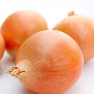 img-0: Лук репчатый Самурай - ООО «Семена Тут»