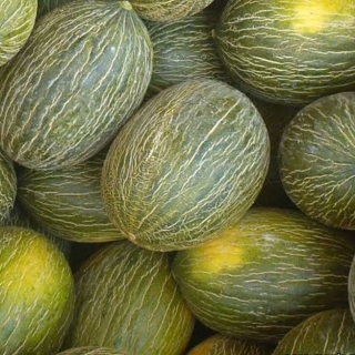 Дыня Дон Кихот F1 - ООО «Семена Тут»
