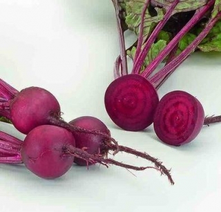 Свекла Бебибит (фракция 3,50-4,25 мм) - ООО «Семена Тут»