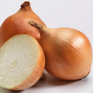 img-0: Лук репчатый Варес F1 - ООО «Семена Тут»