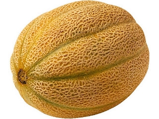 Дыня Гордес F1 - ООО «Семена Тут»