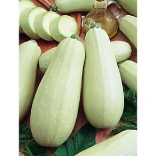 img-1: Кабачок Горный - ООО «Семена Тут»