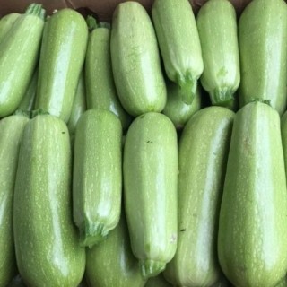 img-0: Кабачок Арал F1 - ООО «Семена Тут»