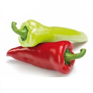 img-0: Перец Ариадни F1 - ООО «Семена Тут»