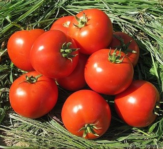 Томат Асалет F1 - ООО «Семена Тут»