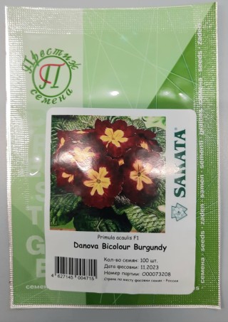 img-1: Примула Данова Биколор Бургунди [100 шт] - ООО «Семена Тут»