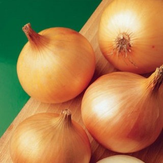 img-0: Лук репчатый Халцедон - ООО «Семена Тут»