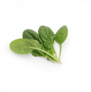 img-0: Шпинат Гоанна F1 - ООО «Семена Тут»