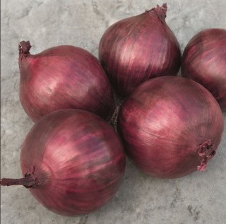 Лук репчатый Ред Рам F1 - ООО «Семена Тут»