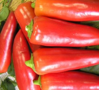 Перец Лидия - ООО «Семена Тут»