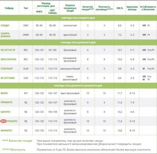 img-1: Лук репчатый Сьерра Бланка F1 - ООО «Семена Тут»