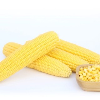 img-0: Кукуруза Мирза F1 - ООО «Семена Тут»