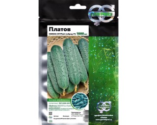 img-2: Огурец Платов F1 - ООО «Семена Тут»