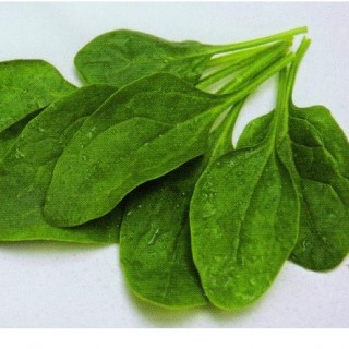 img-0: Шпинат Спутник F1 - ООО «Семена Тут»