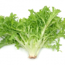 Салат Аскари - ООО «Семена Тут»