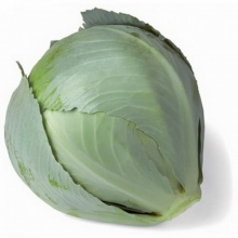 Капуста белокочанная Циклон F1 - ООО «Семена Тут»