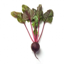 Свекла Либеро (фракция 2,75-3,5 мм) - ООО «Семена Тут»