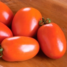 Томат Рио Спринт F1 (инкруст. семена) - ООО «Семена Тут»