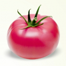 Томат Вермилион F1 - ООО «Семена Тут»