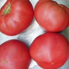 Томат Пинк Меджик (TMZY 305) F1 - ООО «Семена Тут»