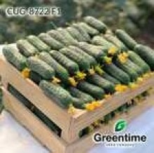 img-1: Огурец Актив F1 (CUG-8722 F1) - ООО «Семена Тут»