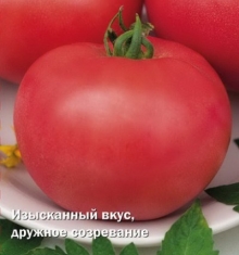 img-1: Томат Сударь F1 - ООО «Семена Тут»