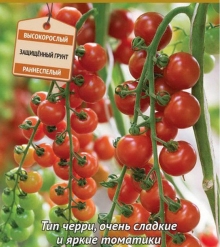 img-1: Томат Терек F1 (инкруст. семена) - ООО «Семена Тут»