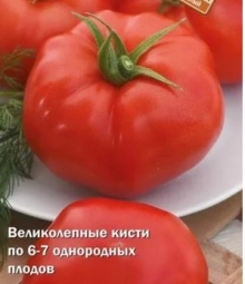 Томат Кассиопея F1 (инкруст. семена) - ООО «Семена Тут»