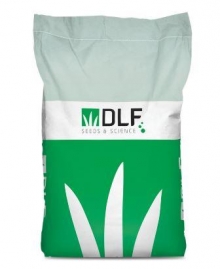 Газонная трава Смесь "Робустика" - ООО «Семена Тут»