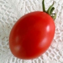 Томат Велоз F1 - ООО «Семена Тут»