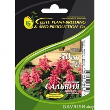 img-1: Сальвия Виста Роуз [50 шт] - ООО «Семена Тут»
