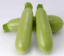 img-1: Кабачок Арал F1 - ООО «Семена Тут»