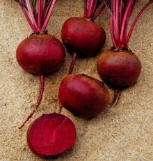 Свекла Камаро F1 - ООО «Семена Тут»