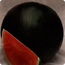 Арбуз Стайл F1 - ООО «Семена Тут»