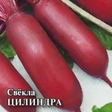 img-1: Свекла Цилиндра - ООО «Семена Тут»