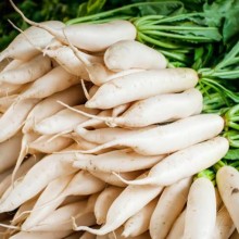 Редис Белый клык - ООО «Семена Тут»