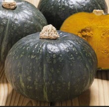 Тыква Констанза F1 - ООО «Семена Тут»