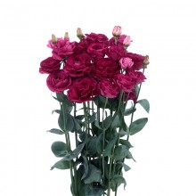 Эустома Розита 3 Ред [100 драже] - ООО «Семена Тут»