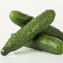 Огурец Малахит F1 - ООО «Семена Тут»