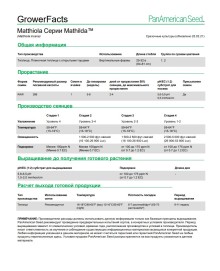 img-2: Маттиола Матильда Роуз [1000 шт] - ООО «Семена Тут»