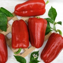 Перец Руслан (инкруст. семена) - ООО «Семена Тут»